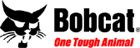 Bobcat